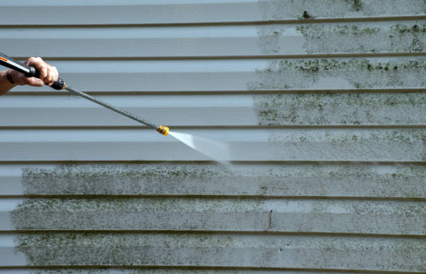 Best Affordable Power Washing  in Newport, WA