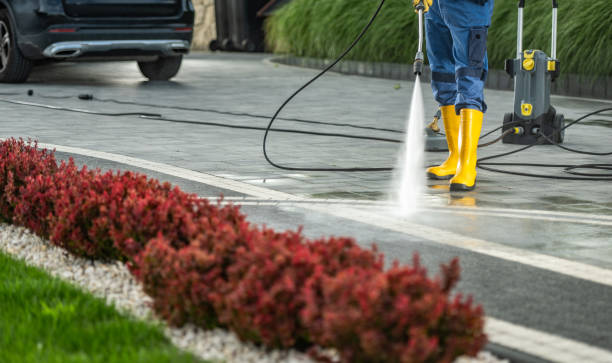 Best Pressure Washing Patio  in Newport, WA